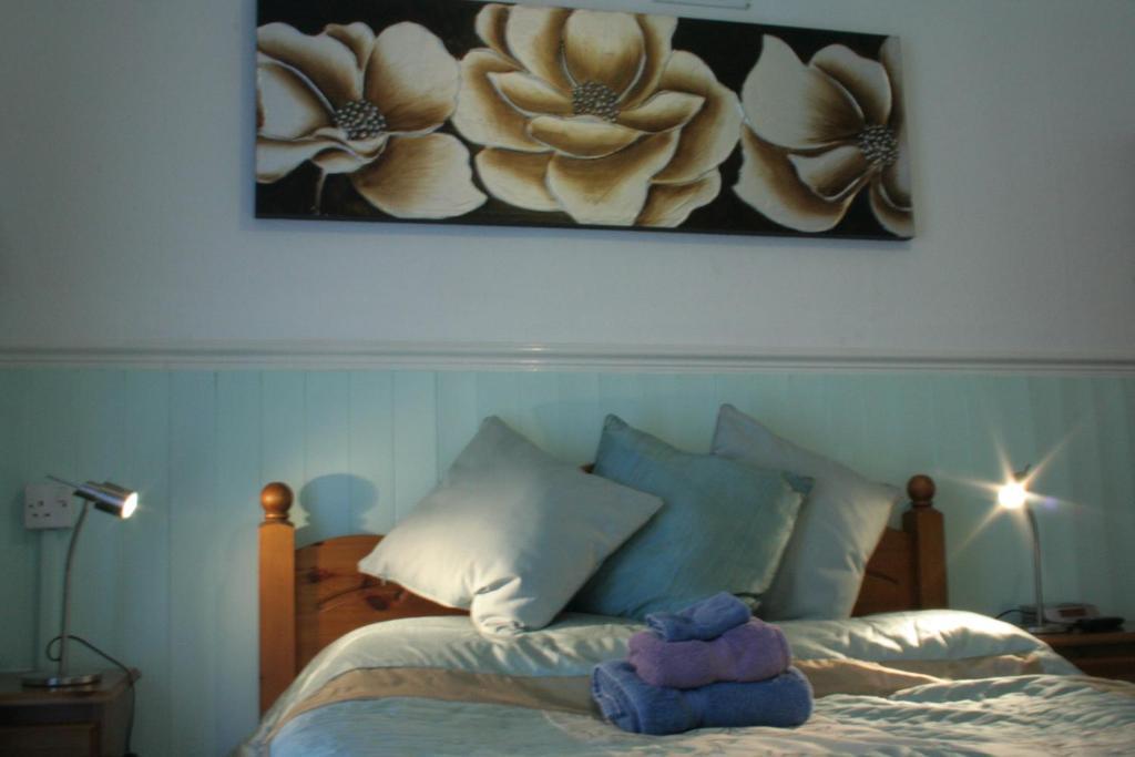 Devon View Guesthouse Суонси Номер фото