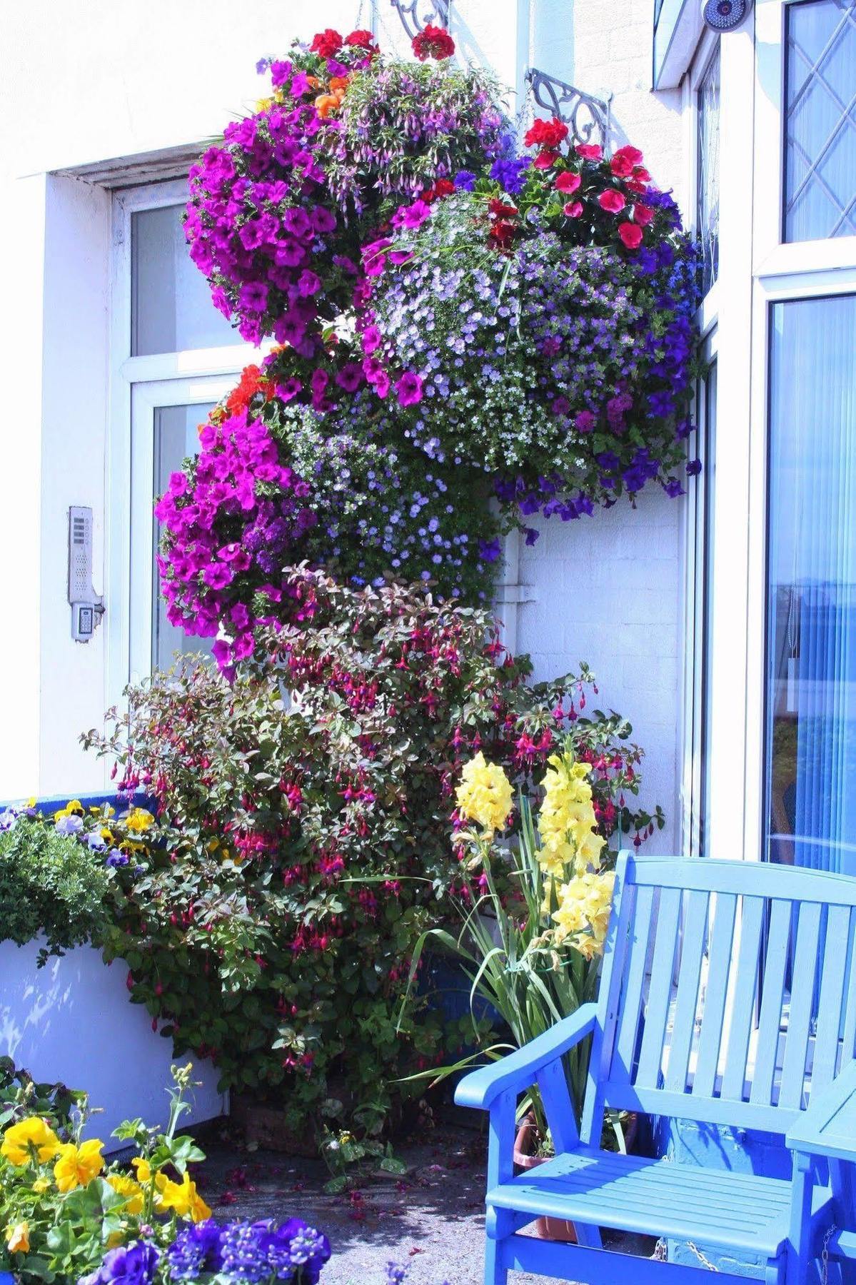 Devon View Guesthouse Суонси Экстерьер фото